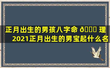 正月出生的男孩八字命 🐕 理「2021正月出生的男宝起什么名字」